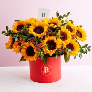 Box Sunflower 12