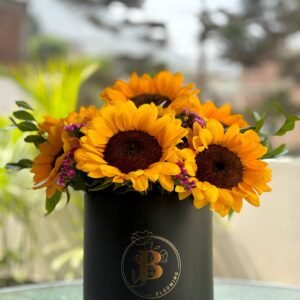 Box Sunflower 8